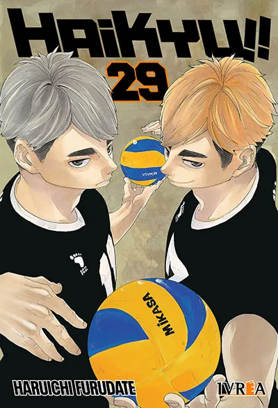 Haikyu 29