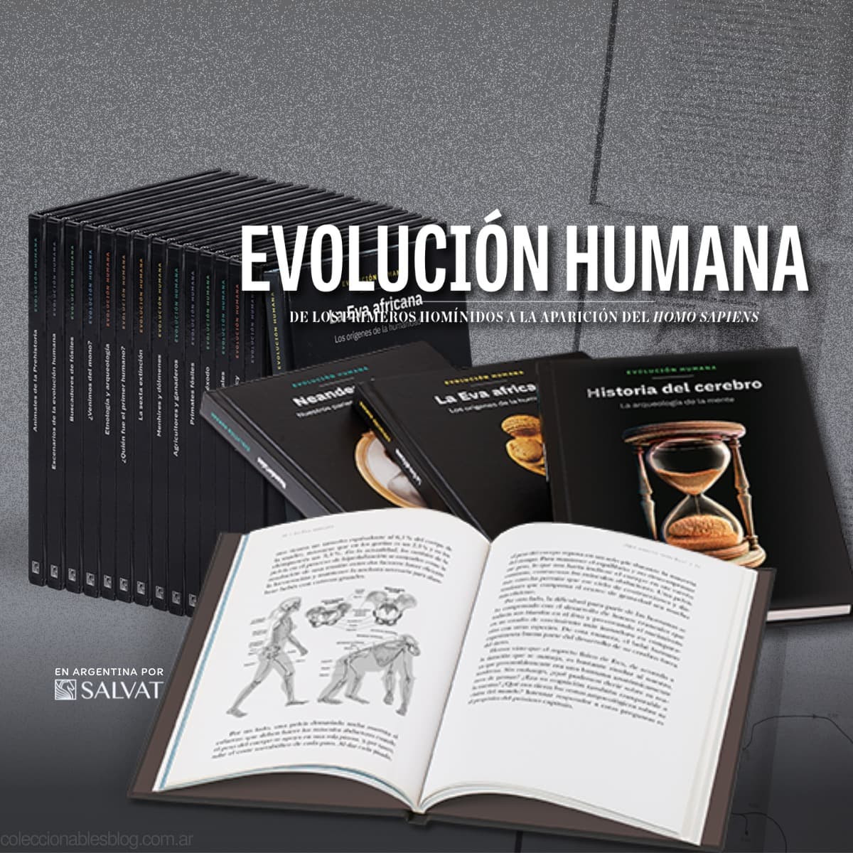 COLECCIÓN EVOLUCIÓN HUMANA DE SALVAT EN ARGENTINA