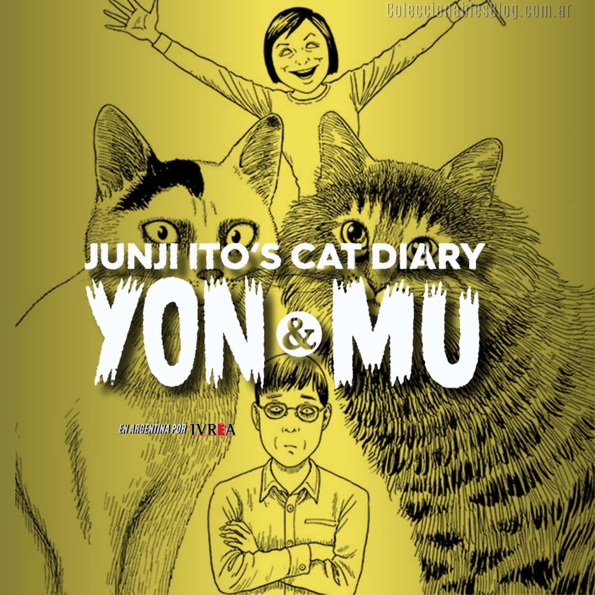 Junji Itos Cat Diary 1