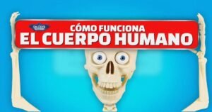 Cómo Funciona el Cuerpo Humano - Colecciones La Nación / Grijalbo